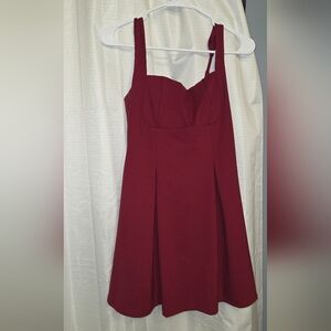 Amazon Burgundy Mini Dress